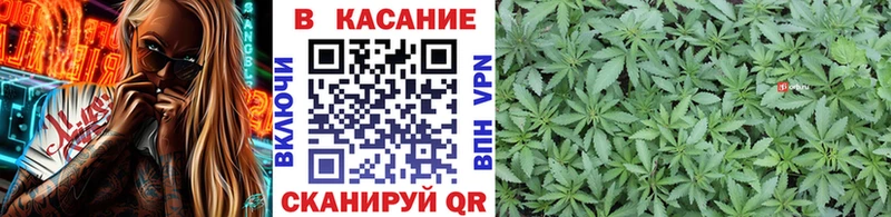 Цена Кингисепп ГАШИШ  Псилоцибиновые грибы  Альфа ПВП  Меф  Кокаин  Каннабис 