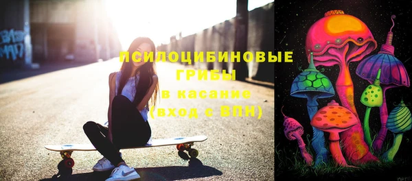 СК Абинск
